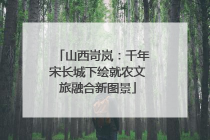 山西岢岚：千年宋长城下绘就农文旅融合新图景