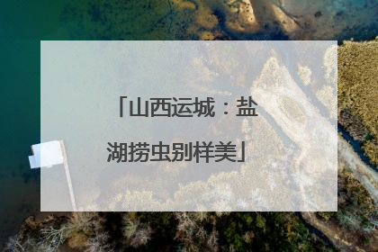 山西运城：盐湖捞虫别样美