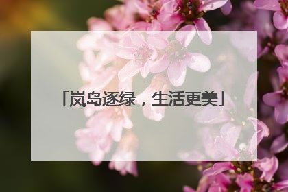 岚岛逐绿，生活更美