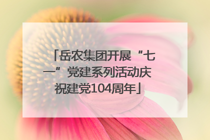 岳农集团开展“七一”党建系列活动庆祝建党104周年