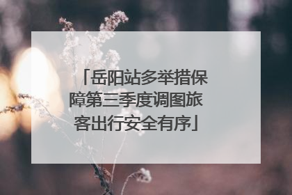 岳阳站多举措保障第三季度调图旅客出行安全有序