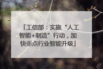 工信部：实施“人工智能+制造”行动，加快重点行业智能升级