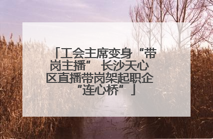 工会主席变身“带岗主播” 长沙天心区直播带岗架起职企“连心桥”