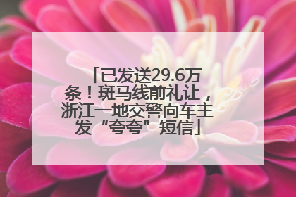 已发送29.6万条！斑马线前礼让，浙江一地交警向车主发“夸夸”短信