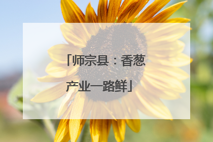 师宗县：香葱产业一路鲜