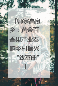 师宗高良乡：黄金百香果产业奏响乡村振兴“致富曲”
