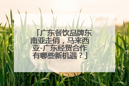广东餐饮品牌东南亚走俏，马来西亚-广东经贸合作有哪些新机遇？