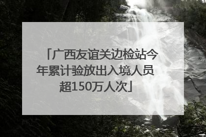 广西友谊关边检站今年累计验放出入境人员超150万人次