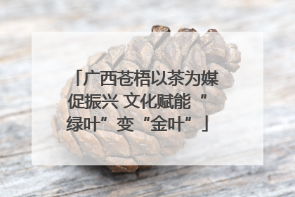广西苍梧以茶为媒促振兴 文化赋能“绿叶”变“金叶”