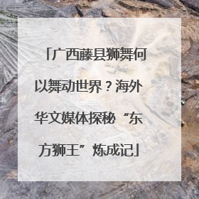 广西藤县狮舞何以舞动世界？海外华文媒体探秘“东方狮王”炼成记