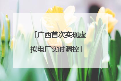广西首次实现虚拟电厂实时调控