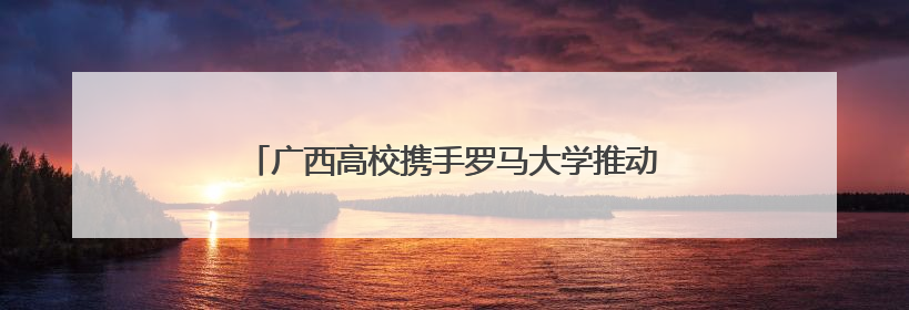 广西高校携手罗马大学推动建筑文化遗产数字化创新