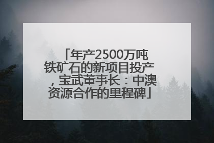 年产2500万吨铁矿石的新项目投产，宝武董事长：中澳资源合作的里程碑