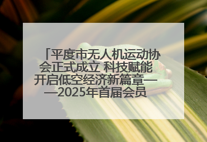 平度市无人机运动协会正式成立 科技赋能开启低空经济新篇章——2025年首届会员大会暨无人机应用发展论坛成功举办