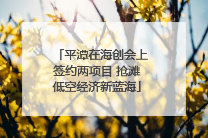 平潭在海创会上签约两项目 抢滩低空经济新蓝海
