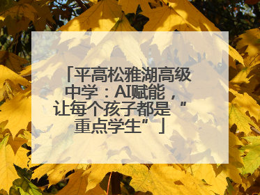 平高松雅湖高级中学：AI赋能，让每个孩子都是“重点学生”
