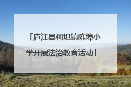 庐江县柯坦镇陈埠小学开展法治教育活动