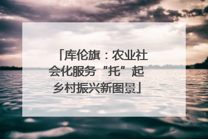 库伦旗：农业社会化服务“托”起乡村振兴新图景