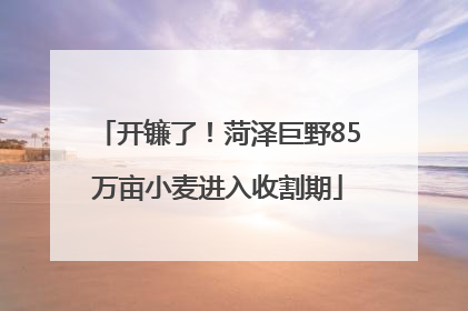 开镰了！菏泽巨野85万亩小麦进入收割期