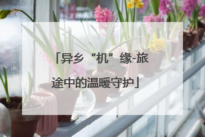 异乡“机”缘-旅途中的温暖守护
