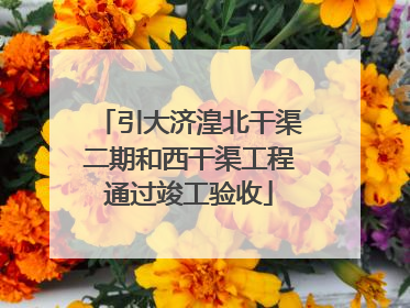 引大济湟北干渠二期和西干渠工程通过竣工验收