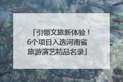 引领文旅新体验！6个项目入选河南省旅游演艺精品名录