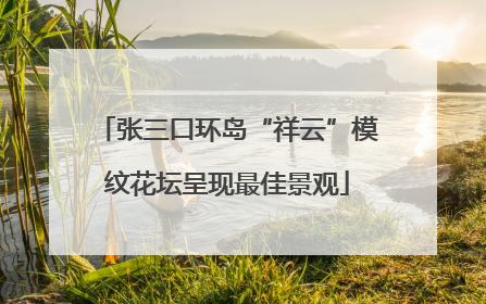 张三口环岛“祥云”模纹花坛呈现最佳景观