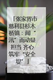 张家界市慈利县杉木桥镇：闻“汛”而动显担当 齐心筑牢“安全堤”