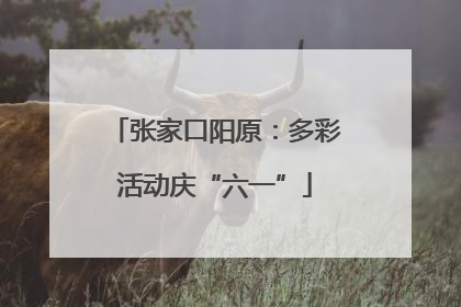 张家口阳原：多彩活动庆“六一”