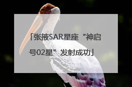 张掖SAR星座“神启号02星”发射成功
