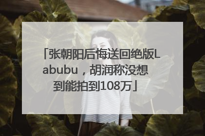 张朝阳后悔送回绝版Labubu，胡润称没想到能拍到108万