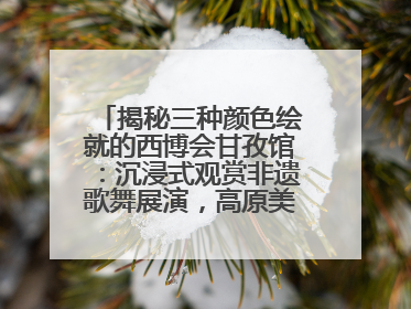 揭秘三种颜色绘就的西博会甘孜馆：沉浸式观赏非遗歌舞展演，高原美味从头吃到尾