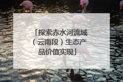 探索赤水河流域（云南段）生态产品价值实现