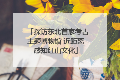 探访东北首家考古主题博物馆 近距离感知红山文化