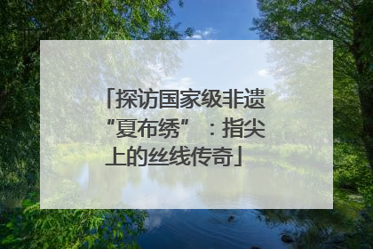 探访国家级非遗“夏布绣”：指尖上的丝线传奇