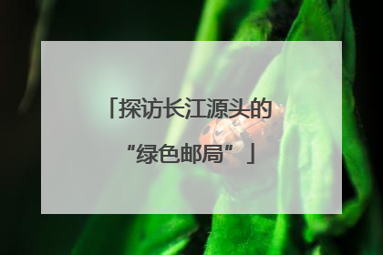 探访长江源头的“绿色邮局”