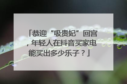 恭迎“吸贵妃”回宫，年轻人在抖音买家电能买出多少乐子？