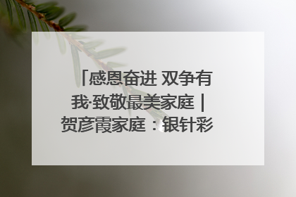 感恩奋进 双争有我·致敬最美家庭｜贺彦霞家庭：银针彩线绣出好日子
