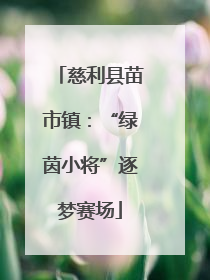 慈利县苗市镇：“绿茵小将”逐梦赛场