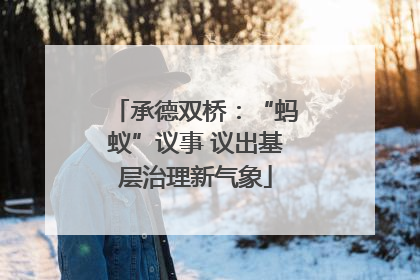 承德双桥：“蚂蚁”议事 议出基层治理新气象