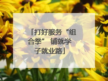 打好服务“组合拳” 铺就学子就业路