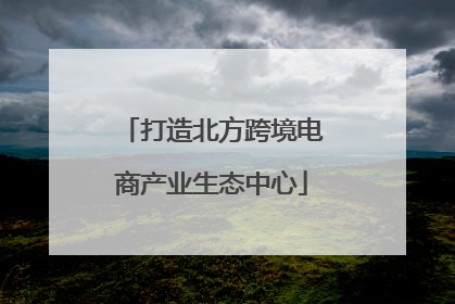 打造北方跨境电商产业生态中心