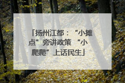 扬州江都：“小摊点”旁讲政策 “小爬爬”上话民生