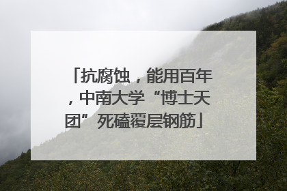 抗腐蚀，能用百年，中南大学“博士天团”死磕覆层钢筋