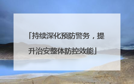 持续深化预防警务，提升治安整体防控效能