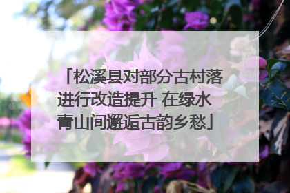 松溪县对部分古村落进行改造提升 在绿水青山间邂逅古韵乡愁