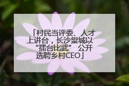 村民当评委、人才上讲台，长沙望城以“擂台比武” 公开选聘乡村CEO