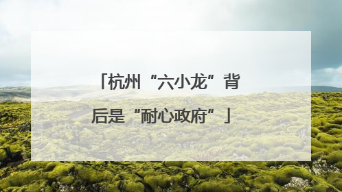 杭州“六小龙”背后是“耐心政府”