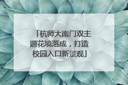 杭师大南门双主题花境落成，打造校园入口新景观