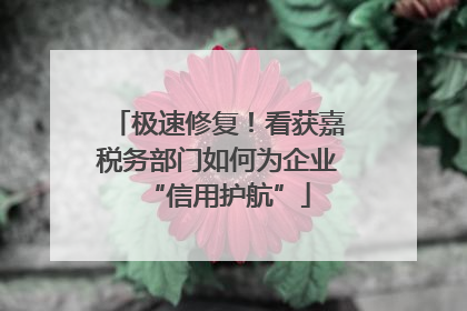 极速修复！看获嘉税务部门如何为企业“信用护航”